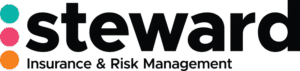 Steward Risk - Logo 800
